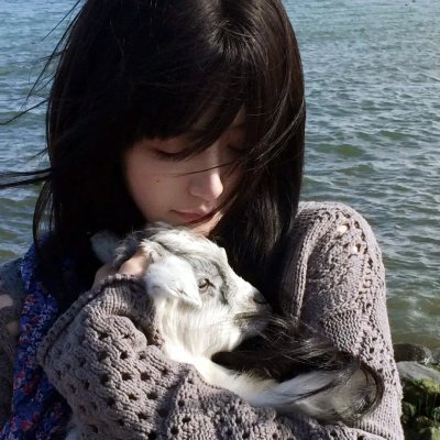 冰川时代5:星际碰撞